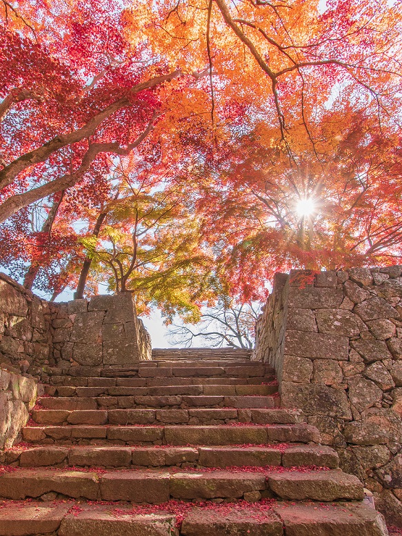 津山市公式インスタグラムフォトコンテスト 津山の秋 のグランプリが決定 津山市公式サイト