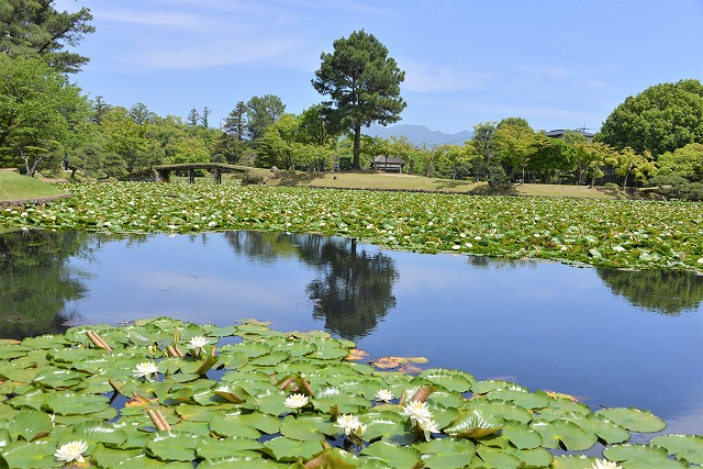 旧津山藩別邸庭園　衆楽園