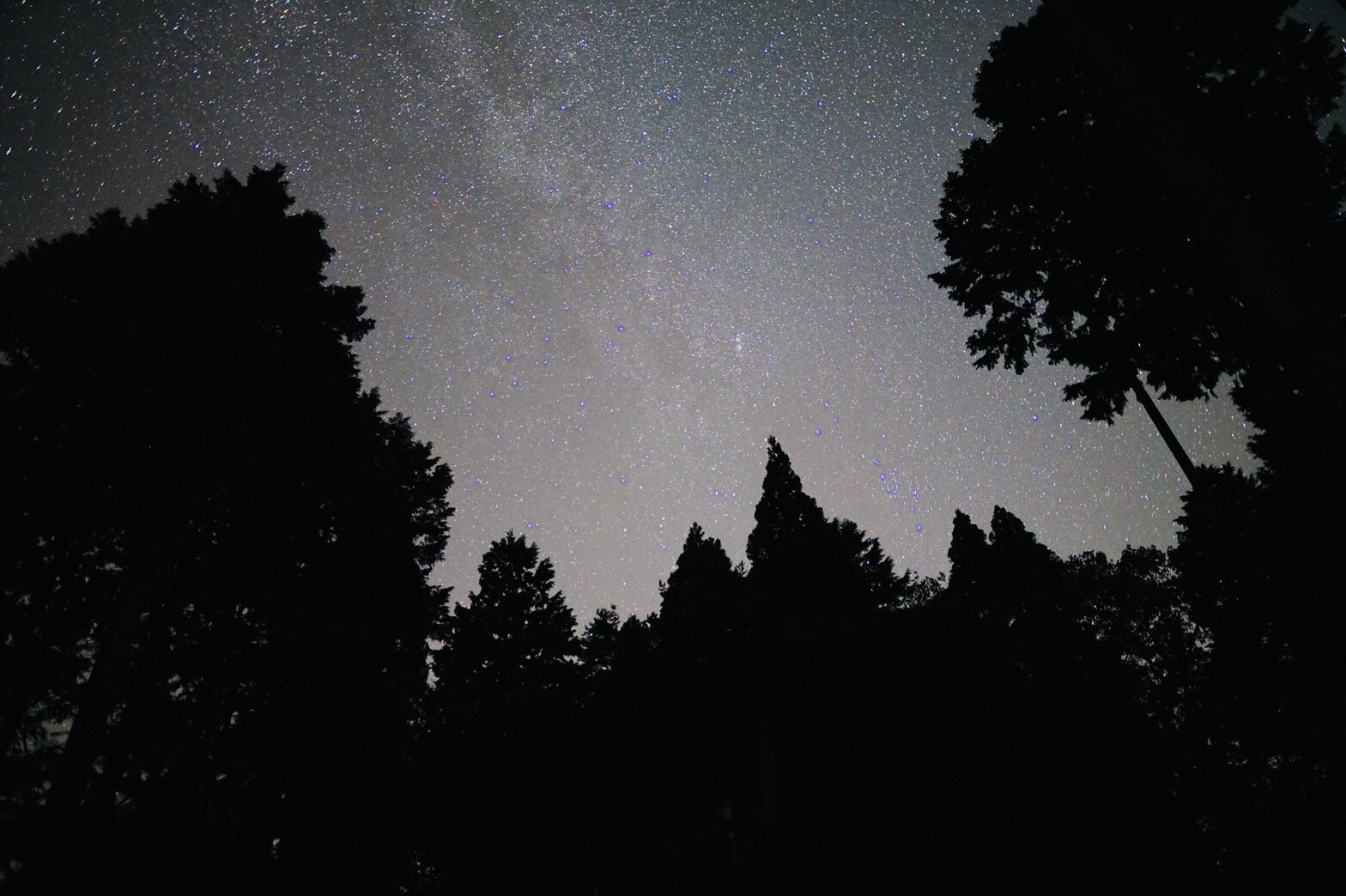 第2キャンプ場の星空の写真