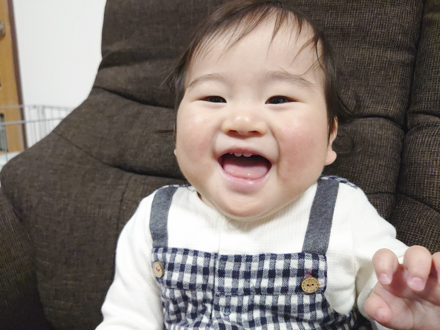 金定新ちゃん1月18日生まれ