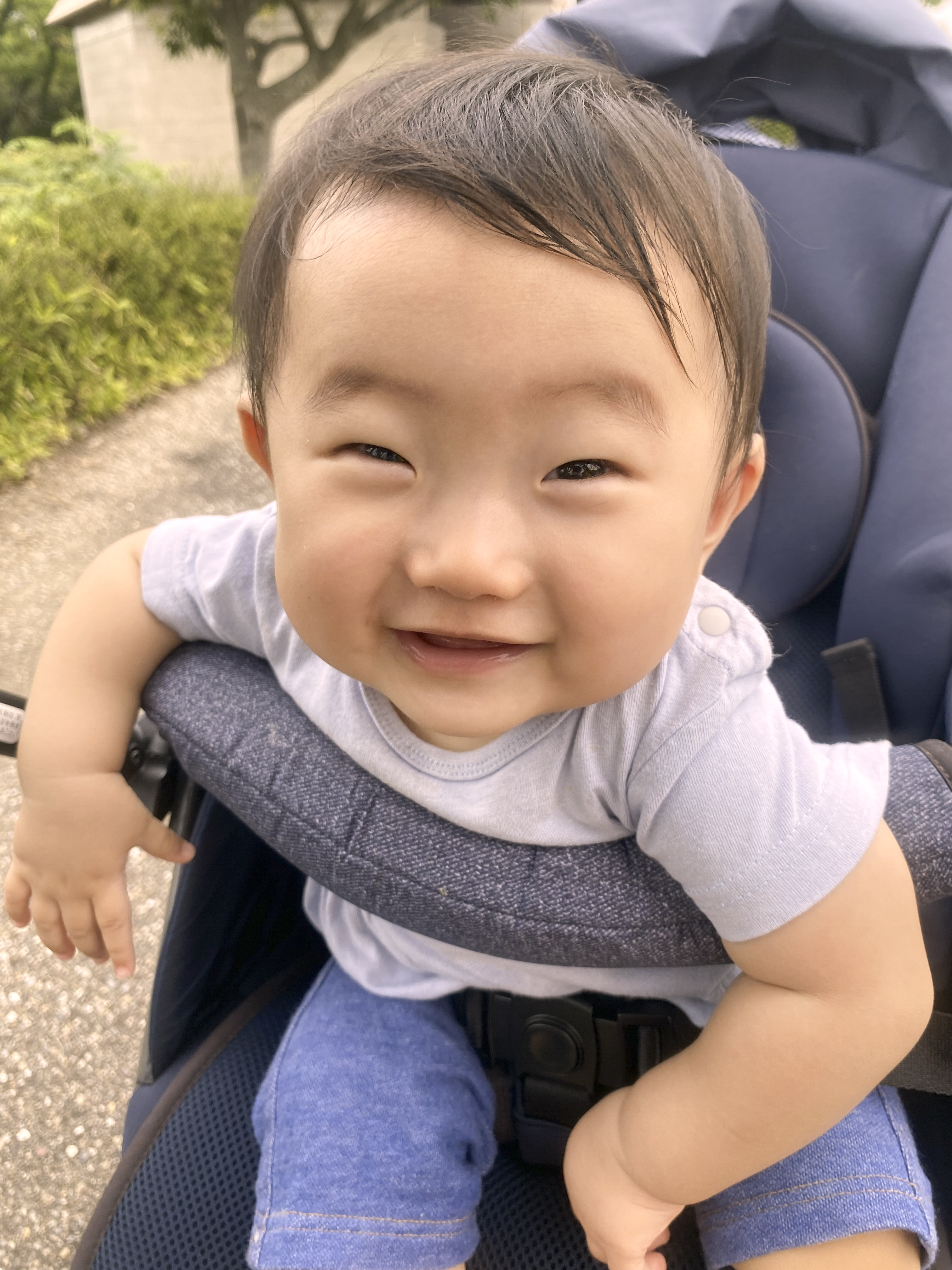 前田一花凛ちゃん(11月11日生まれ)