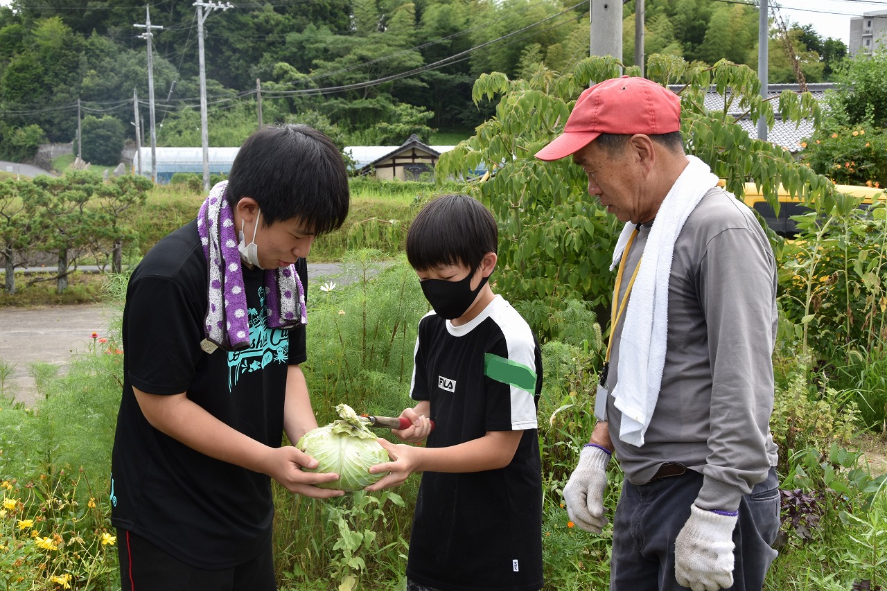 野菜の収穫などの様子