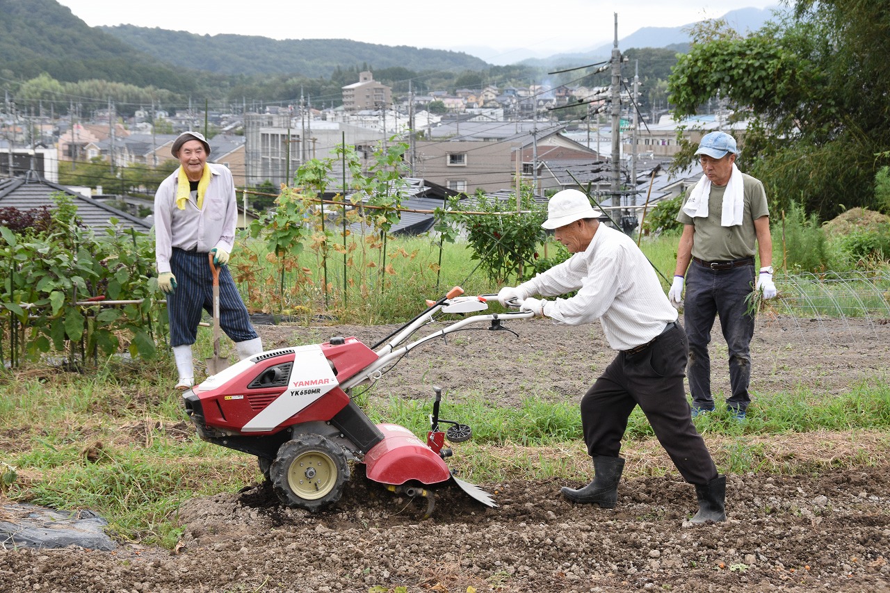 次の植え付けに向けた畑づくり