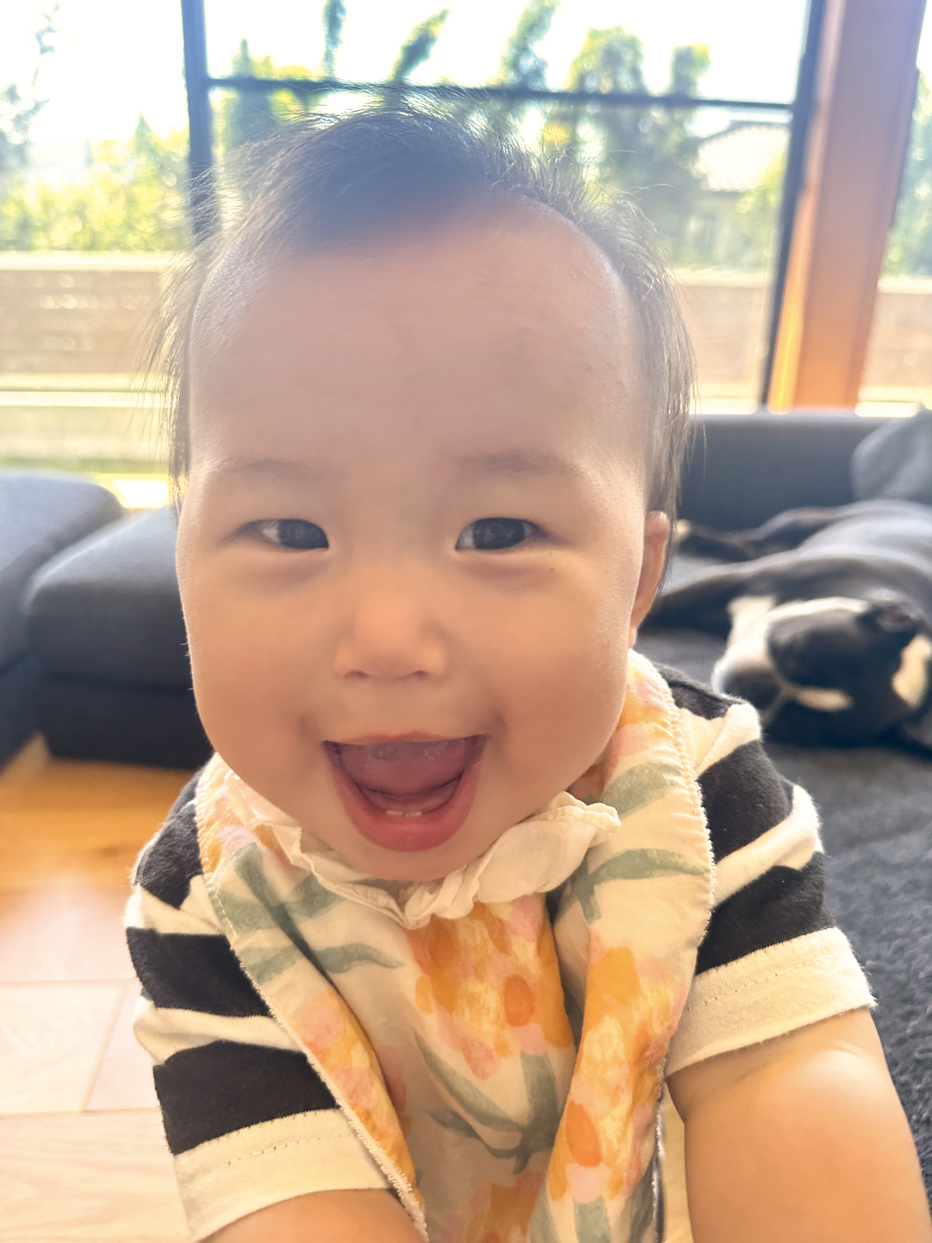 広報津山「おめでとう赤ちゃん」-令和4年11月生まれ(満1歳)の赤ちゃん