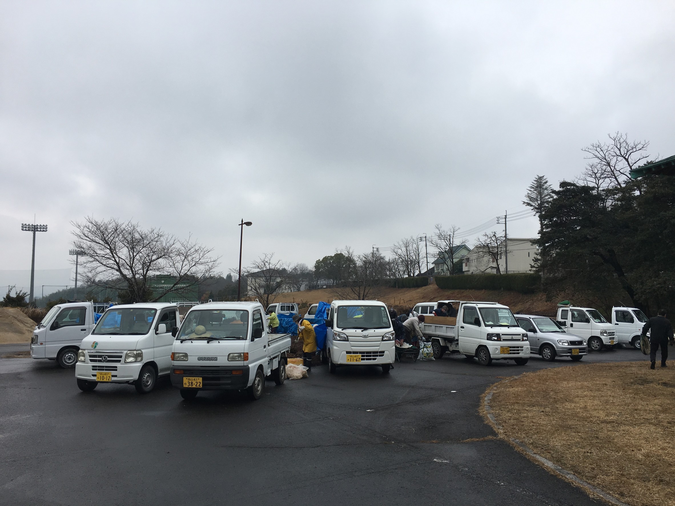 チップの無料配布について 津山市公式サイト