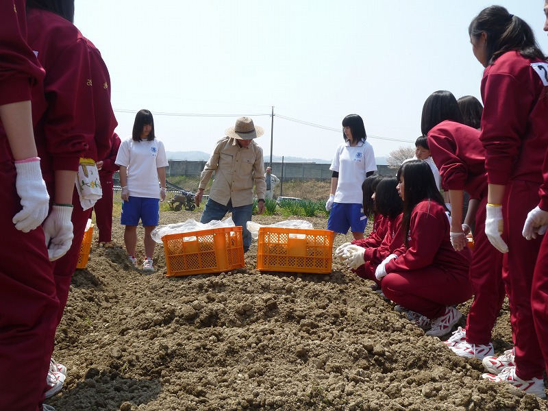 植付2