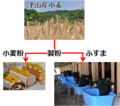 津山産小麦の行方