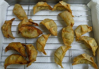 餃子試作